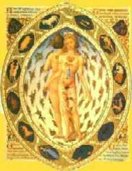 Человек-зодиак - глупая попытка использовать астрологию в медицине(братья Лимбург)